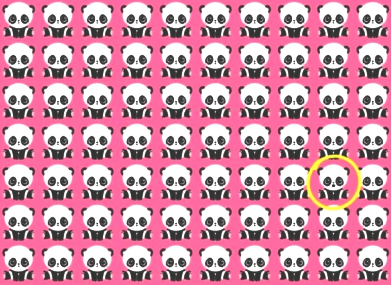 Akıl karıştırıcı zeka testi: Resimdeki farklı pandayı 6 saniyede bulabilenler dahi olarak kabul ediliyor - Resim : 5